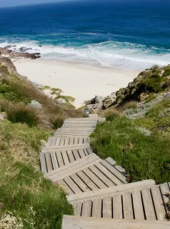 Best tours and travel agency