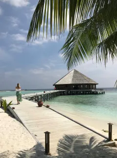 Best tours and travel agency