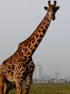 Best tours and travel agency