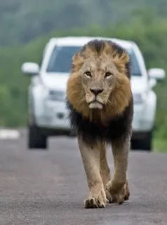 Best tours and travel agency