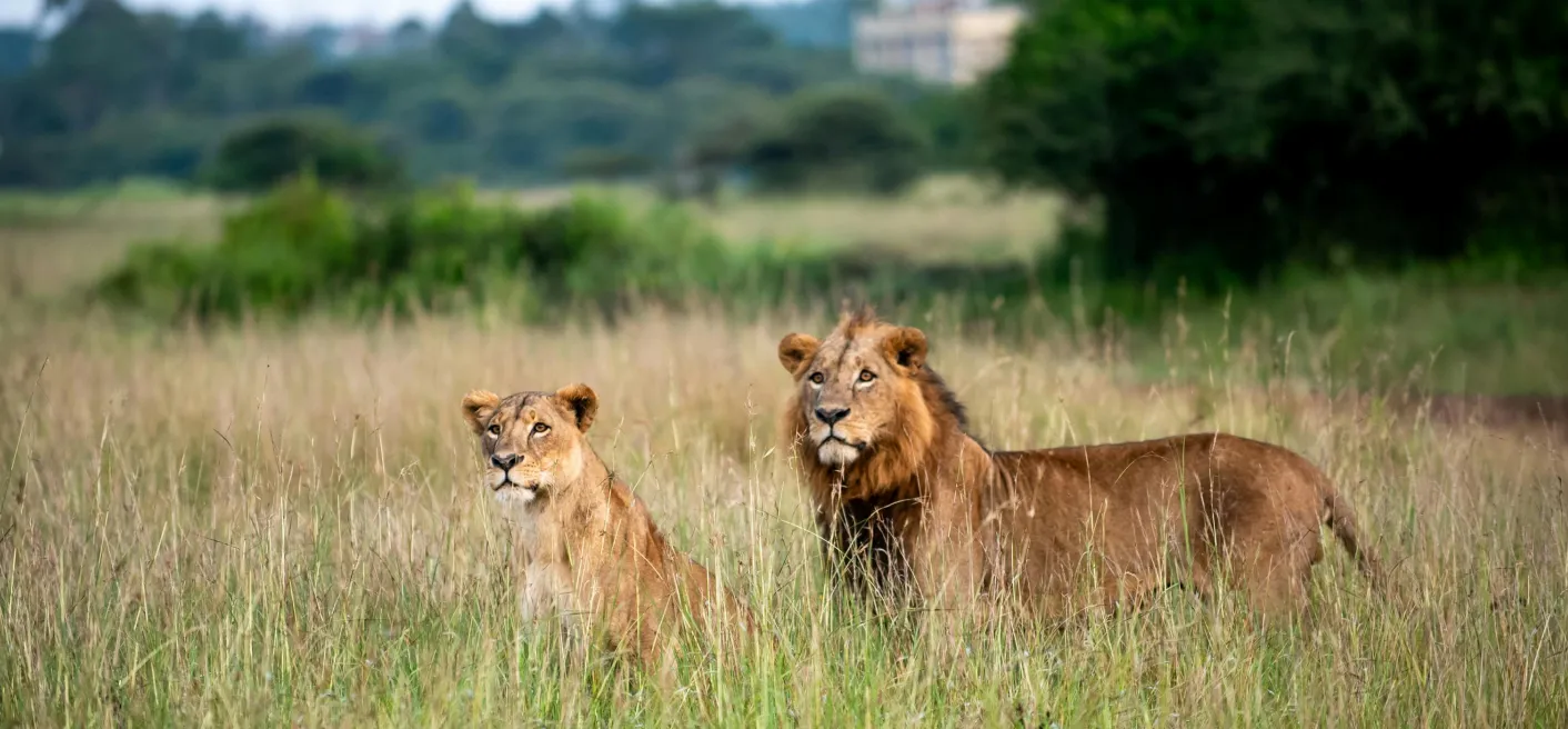 Best tours and travel agency